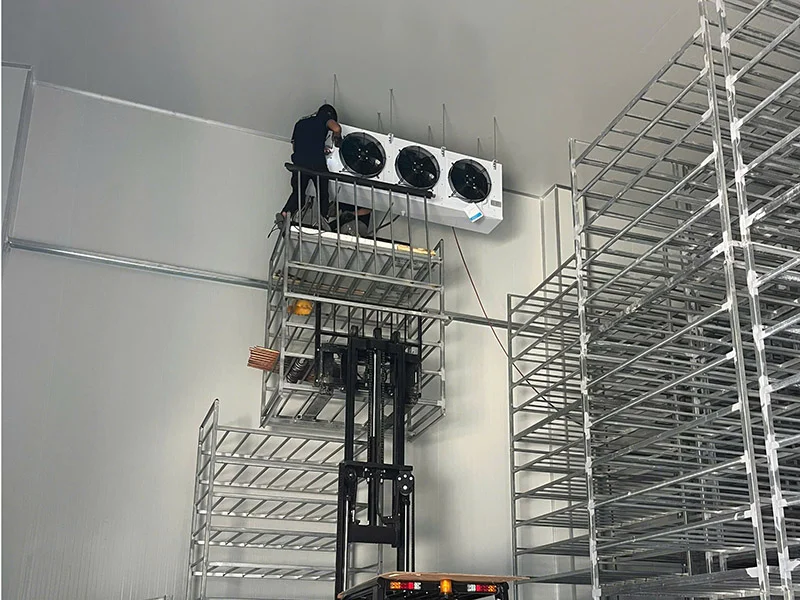 Giới Thiệu Điện Lạnh Typhaco