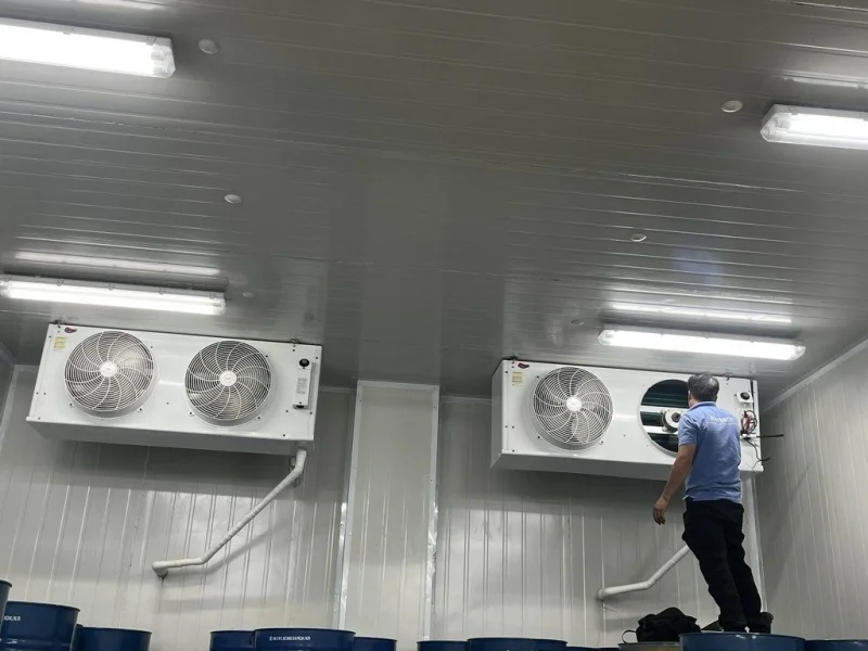 Sửa kho lạnh Bàu Bàng