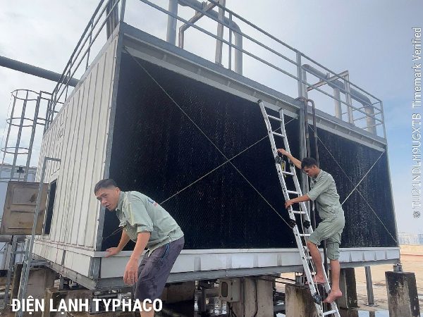 Hình thi công điện lạnh Typhaco #9